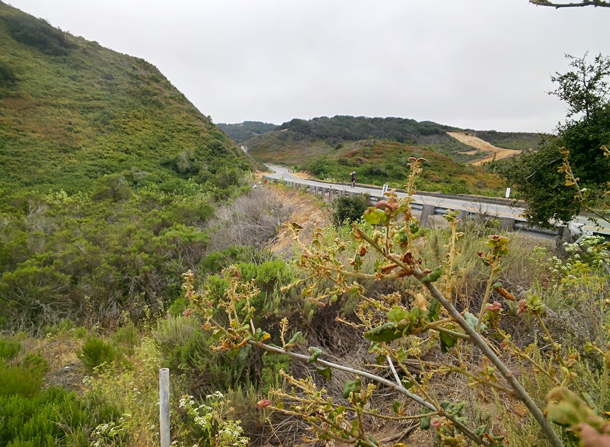 Cycling from San Francisco to Los Angeles with Google Glass