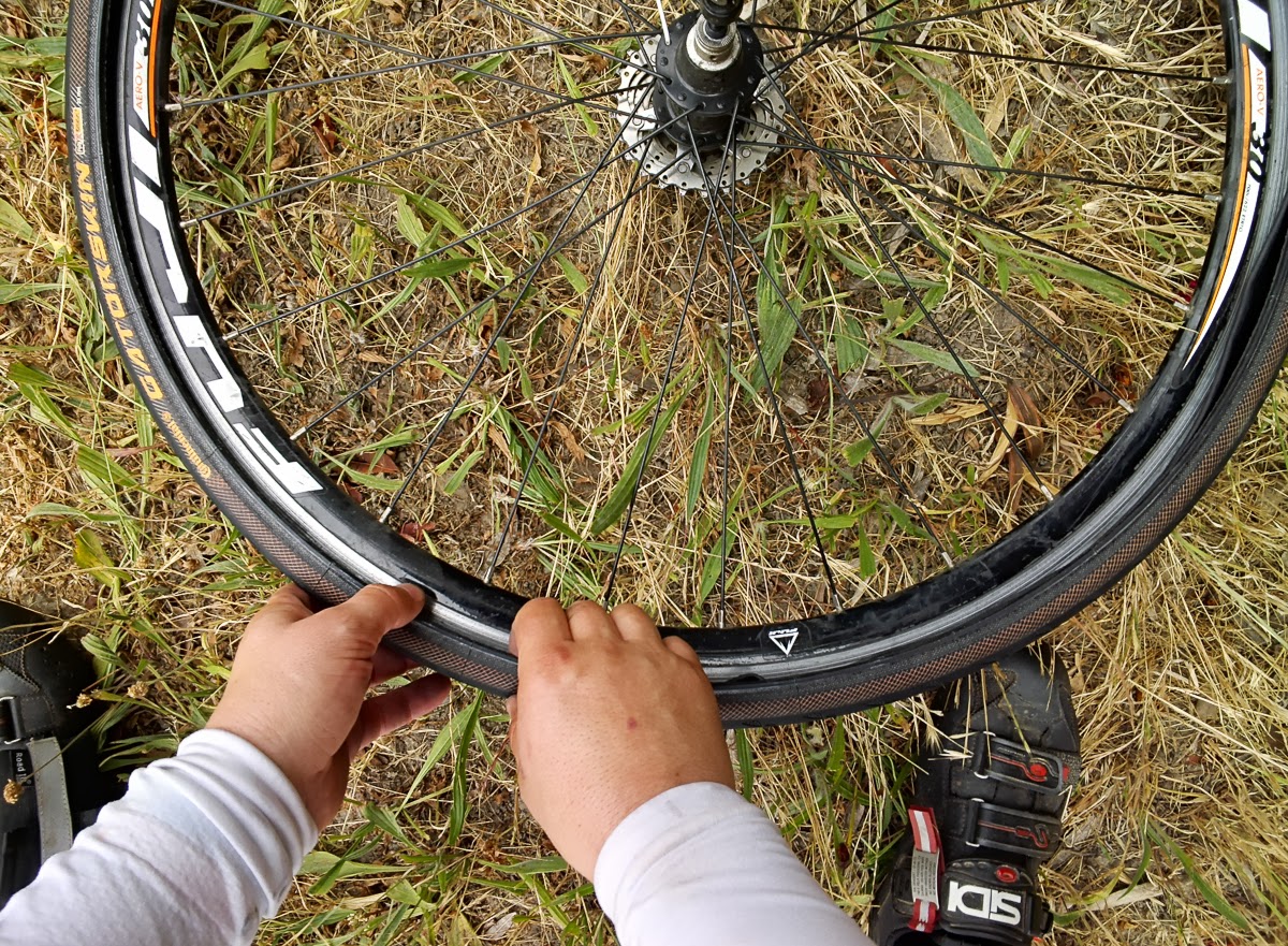Cycling from San Francisco to Los Angeles with Google Glass